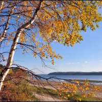 Волга :: **** vedin