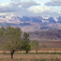 Вершины гор прикрыты, а нам туда... :: Галина Ильясова Вершины гор прикрыты, а нам туда... :: Галина Ильясова