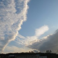 облака :: Елена Шаламова