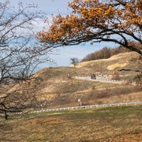 Ноябрь :: Игорь Сикорский