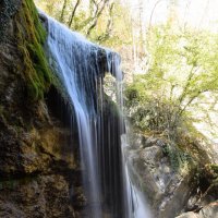 Природа Крыма :: Amazing Cosmea