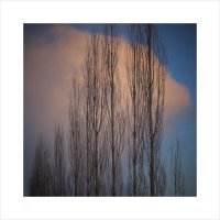 * :: Александр Иванов