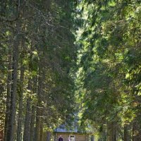 МИХЙЛОВКОЕ. :: Виктор Осипчук