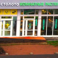 А, может, ошибочка вышла ? :: Юрий Куликов