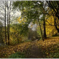 Конец ноября :: Aleksandr Gal