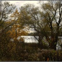 *** :: Aleksandr Gal