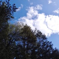 балдеет :: Владимир