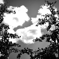 Фотография :: Денис Безногов