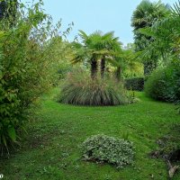 Адлер... ноябрь... :: Нина Бутко