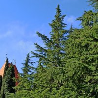 Природа Крыма :: Галина 