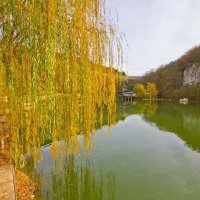 Ива :: Геннадий Валеев