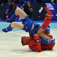 Боевое самбо в Волгограде :: Александр Гриднев