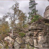 Каменный город (Чёртово Городище, Черепахи) :: Aquarius - Сергей