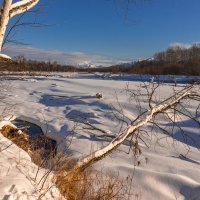 ... :: Жора Житников