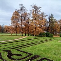 Осень :: Сапсан 