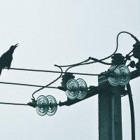 Осень, вернись! :: Валентина Нефёдова