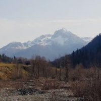 АБХАЗИЯ :: Tata Wolf