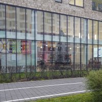 В школе ёлку установили :: Валерий Иванович