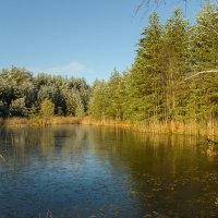 Воды и небес синева. :: Николай