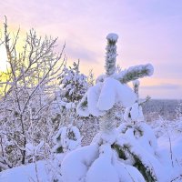 - :: Владимир Мигонькин