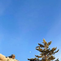 Путь к вершине :: Георгиевич