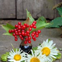 Натюрморт сентября. :: nadyasilyuk Вознюк