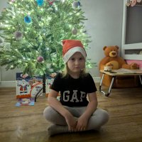 Под ёлочкой,прекрасно... :: Андрей Хлопонин