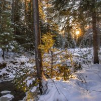 Вечерний свет :: Vladimbormotov