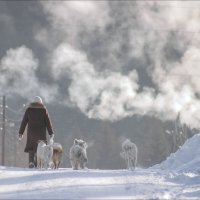 СКОРОЛЕТО :: Александр Кустов