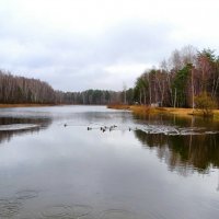 Осень в конце ноября. :: Милешкин Владимир Алексеевич 