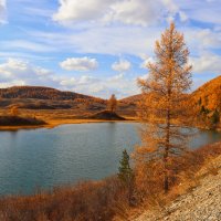 Мертвое озеро,Чейбеккель :: елена беликова