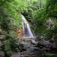Природа Крыма :: Amazing Cosmea