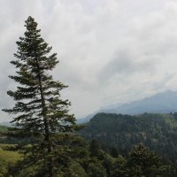 Кавказ :: Serega SchütZ