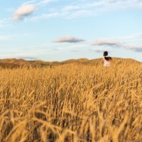 *** :: Александр Кислицын