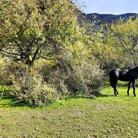 У подножия горы Южная Демерджи. :: Виктор Мухин