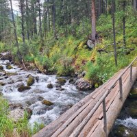 *** :: Андрей Л. В.