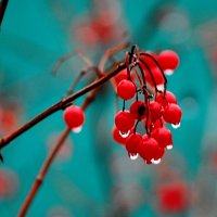 В декабре. :: Владимир 