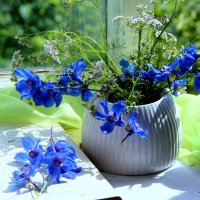 Натюрморт! :: жанна нечаева