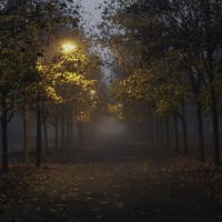 *** :: Игорь Протасов