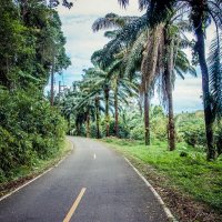 Дорога :: Максим Дорога :: Максим