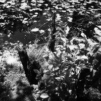 Фотография :: Денис Безногов