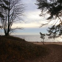 Репино :: Наталья Герасимова