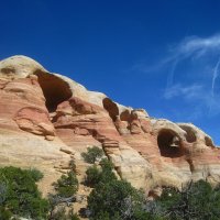 В каньоне Гремучей змеи, Колорадо, США. :: unix (Илья Утропов)