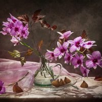 Орхидея с конфетками.) :: Bosanat 