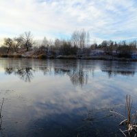 Таким запомница минувший ноябрь. :: Милешкин Владимир Алексеевич 