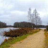 Природа за два дня до календарной зимы. :: Милешкин Владимир Алексеевич 