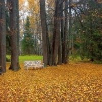 Парк музея-заповедника «Щелыково». :: Ольга Довженко