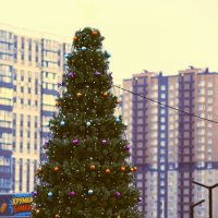 Елочка в Любимово! :: Юрий Полторыхин.