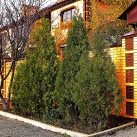 Красиво :: Юрий Гайворонскiий