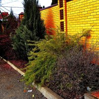 Вот такая зима :: Юрий Гайворонскiий